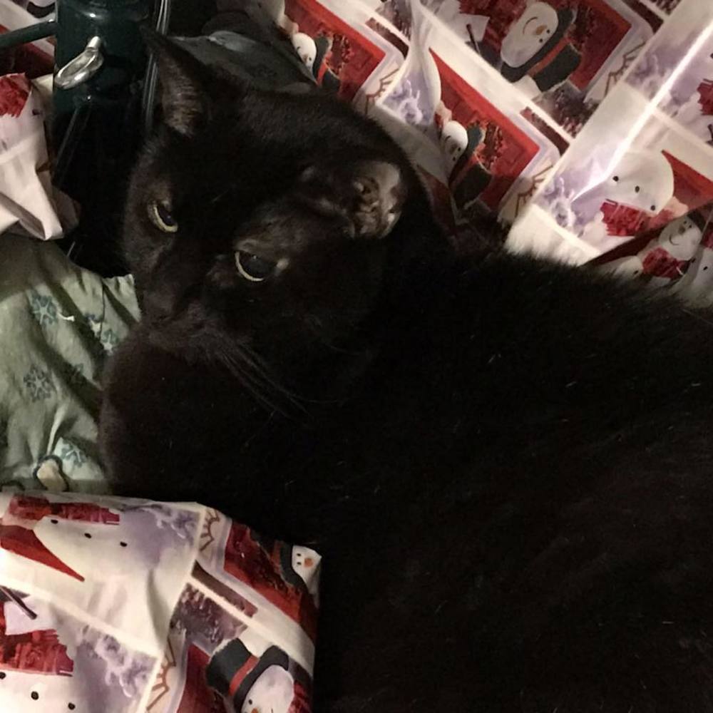 Meet your Posher, Pam